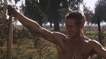 Backdrop to the movie "Cool Hand Luke" #754830