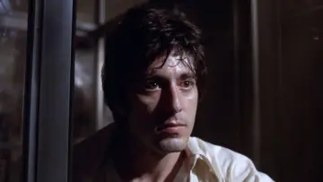 Backdrop to the movie "Dog Day Afternoon" #711443
