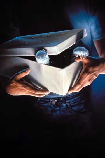 Poster to the movie "Gremlins" #915258