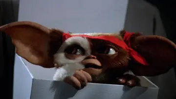 Backdrop to the movie "Gremlins 2: The New Batch" #692516