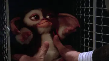 Backdrop to the movie "Gremlins 2: The New Batch" #692535