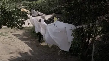 Backdrop to the movie "Halloween" #610835