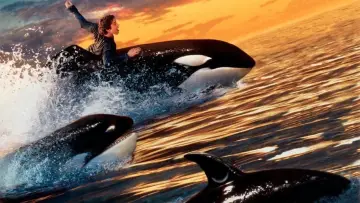 Backdrop to the movie "Free Willy 2: The Adventure Home" #360066