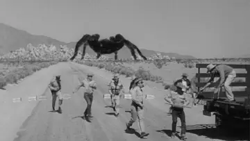 Backdrop to the movie "Tarantula" #382794
