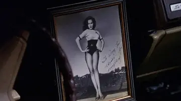 Backdrop to the movie "To Wong Foo, Thanks for Everything! Julie Newmar" #1629519