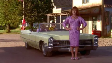 Backdrop to the movie "To Wong Foo, Thanks for Everything! Julie Newmar" #1629522