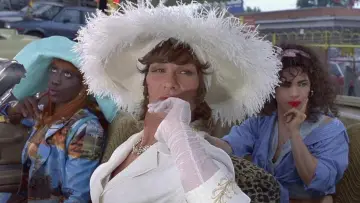 Backdrop to the movie "To Wong Foo, Thanks for Everything! Julie Newmar" #859263