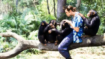 Backdrop to the movie "Ace Ventura: When Nature Calls" #669313