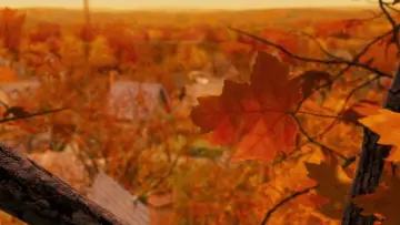 Backdrop to the movie "Monster House" #1207387