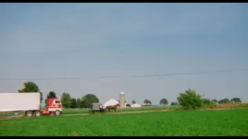 Backdrop to the movie "Witness" #672978