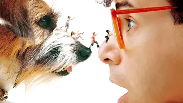 Backdrop to the movie "Honey, I Shrunk the Kids" #668510