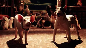 Backdrop to the movie "Babe: Pig in the City" #937391