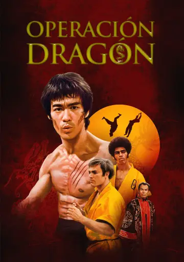 Poster to the movie "Enter the Dragon" #852137