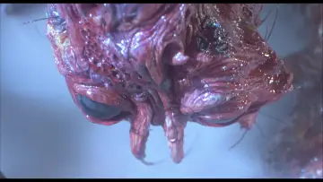 Backdrop to the movie "The Fly" #1576724