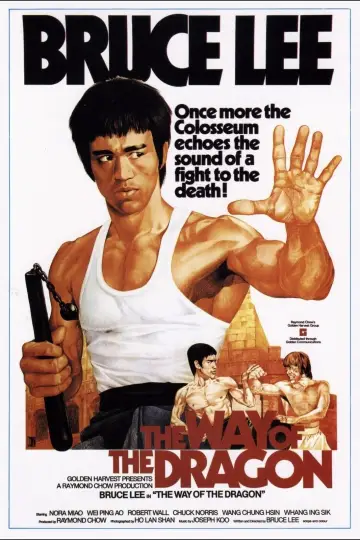 Poster to the movie "The Way of the Dragon" #745728