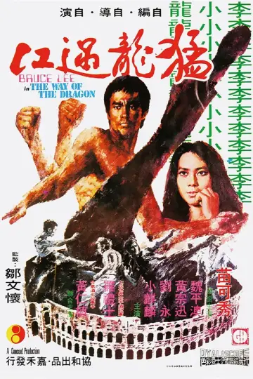 Poster to the movie "The Way of the Dragon" #745731