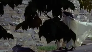 Backdrop to the movie "The Exorcist" #1892989