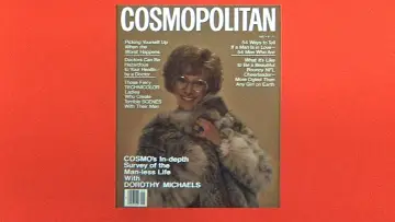 Backdrop to the movie "Tootsie" #874498