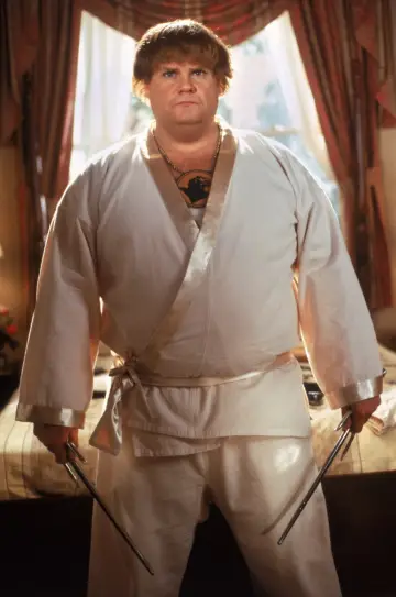 Poster to the movie "Beverly Hills Ninja" #907389