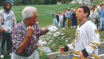 Backdrop to the movie "Happy Gilmore" #810076