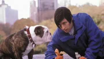 Backdrop to the movie "Little Nicky" #339081