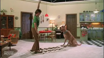 Backdrop to the movie "Scooby-Doo" #842965