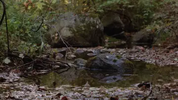 Backdrop to the movie "Friday the 13th Part 2" #1531932