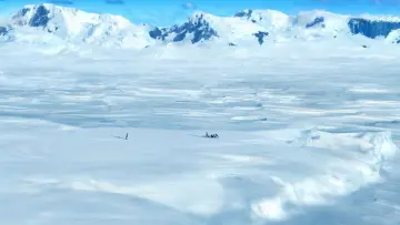 Backdrop to the movie "Happy Feet" #671400