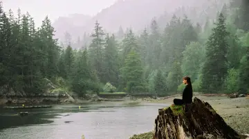 Backdrop to the movie "Elektra" #1576993