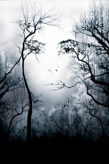 Premonition