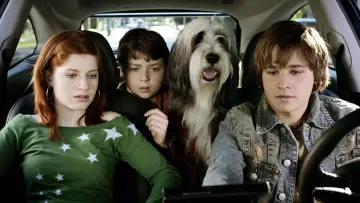 Backdrop to the movie "The Shaggy Dog" #945283