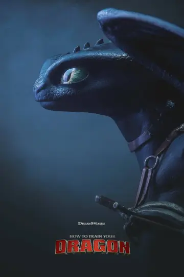 Poster to the movie "How to Train Your Dragon" #1206680