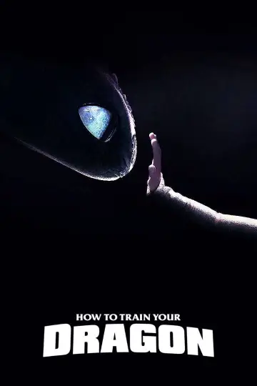 Poster to the movie "How to Train Your Dragon" #960267