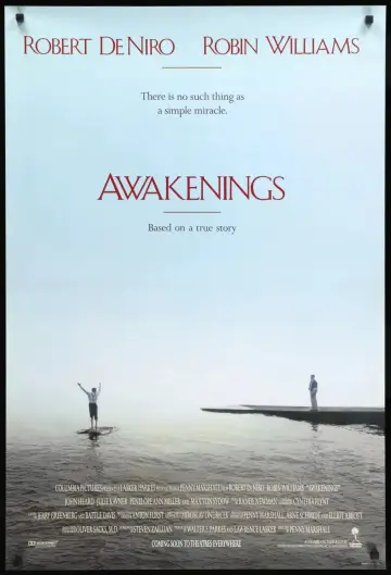 Poster to the movie "Awakenings" #100573