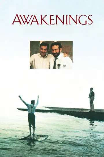 Poster to the movie "Awakenings" #754542