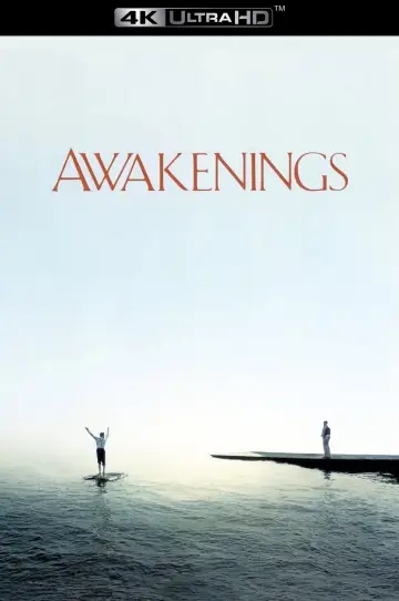Poster to the movie "Awakenings" #754544