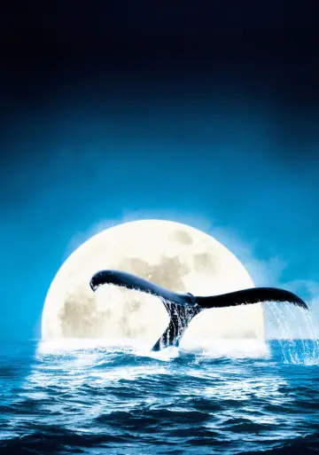 Poster to the movie "Deep Blue" #724860