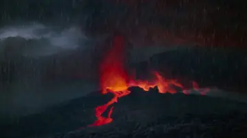 Backdrop to the movie "Greystoke: The Legend of Tarzan, Lord of the Apes" #1746591