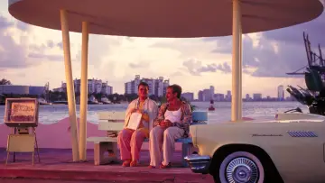 Backdrop to the movie "The Birdcage" #1739253