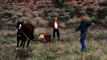 Backdrop to the movie "The Electric Horseman" #1063985