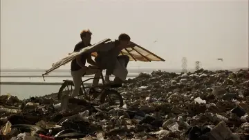 Backdrop to the movie "Birdy" #237634