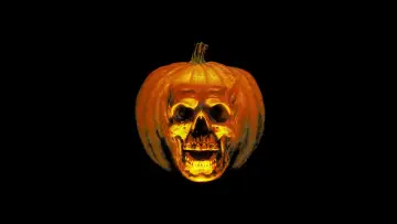 Backdrop to the movie "Halloween II" #709006