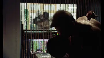 Backdrop to the movie "My Beautiful Laundrette" #1122152