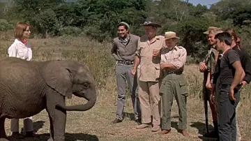 Backdrop to the movie "Hatari!" #1014486