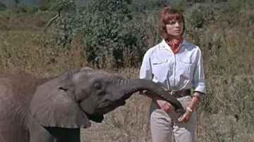 Backdrop to the movie "Hatari!" #1014487