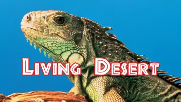 Backdrop to the movie "The Living Desert" #1620599