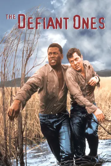 Poster to the movie "The Defiant Ones" #1064656