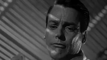 Backdrop to the movie "Invasion of the Body Snatchers" #213551