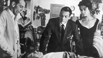 Backdrop to the movie "Invasion of the Body Snatchers" #715461