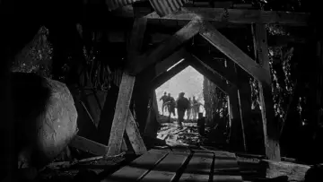 Backdrop to the movie "Invasion of the Body Snatchers" #902032